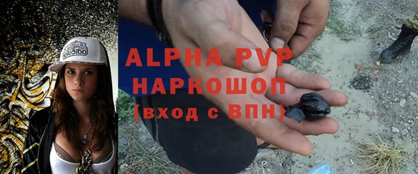 гашик Карталы
