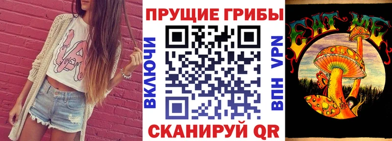blacksprut ссылка  Прокопьевск  Галлюциногенные грибы GOLDEN TEACHER 