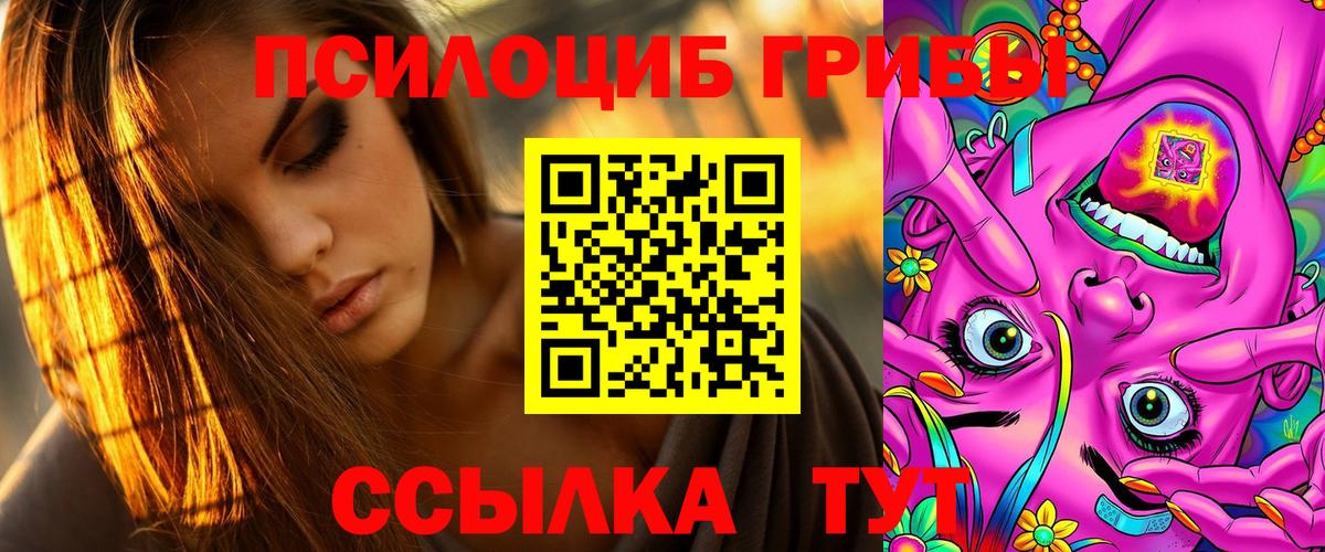 продажа наркотиков  Прокопьевск  Псилоцибиновые грибы Psilocybe 