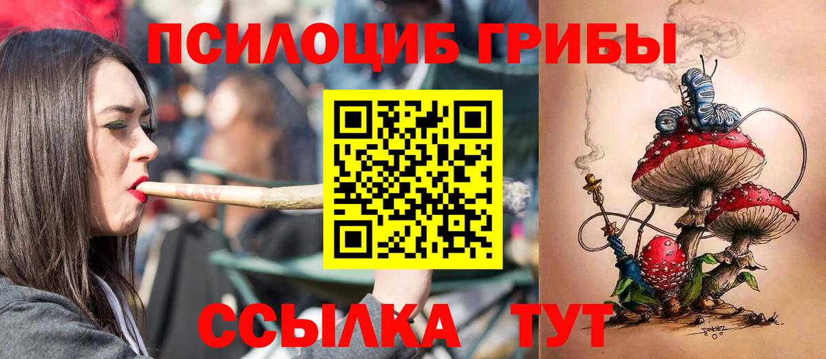 Галлюциногенные грибы Psilocybe Прокопьевск