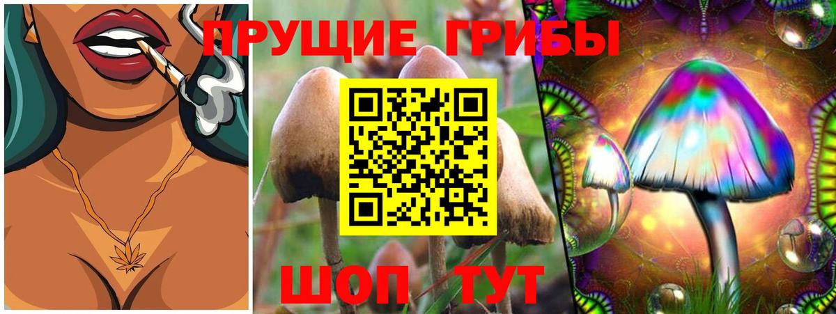 Галлюциногенные грибы Magic Shrooms  Галлюциногенные грибы Psilocybe  Вход с VPN  Прокопьевск 
